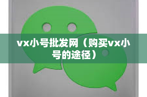 vx小号批发网（购买vx小号的途径）