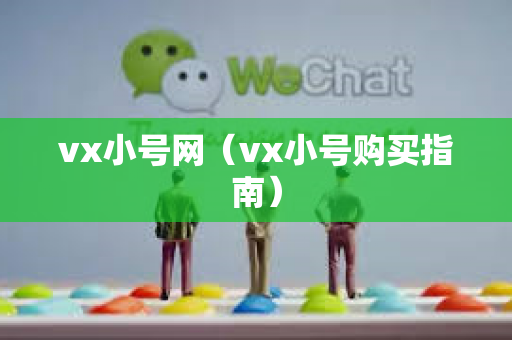 vx小号网（vx小号购买指南）