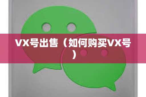 VX号出售（如何购买VX号）