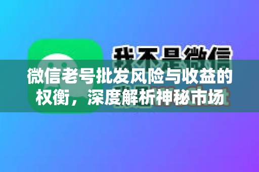 微信老号批发风险与收益的权衡，深度解析神秘市场