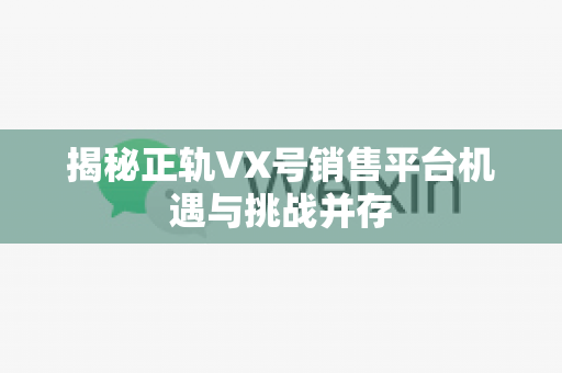 揭秘正轨VX号销售平台机遇与挑战并存