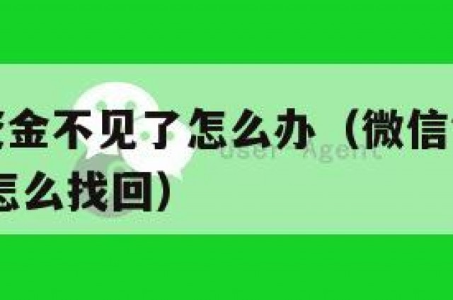 微信钱包资金不见了怎么办（微信钱包的钱怎么没有了,怎么找回）